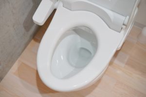 風水マニアが語る トイレ掃除で開運 掃除は毎日 飾るアイテムは こんな疑問 ありませんか