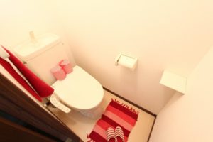 風水マニアが語る トイレ掃除で開運 掃除は毎日 飾るアイテムは こんな疑問 ありませんか